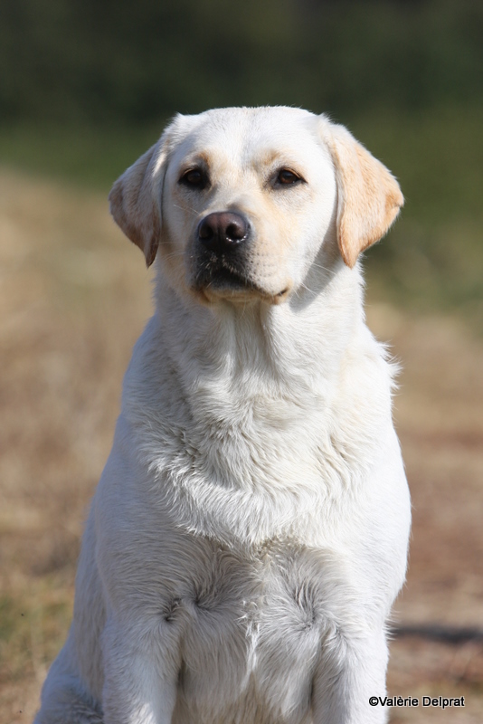 Field Erstein 09 (161).JPG